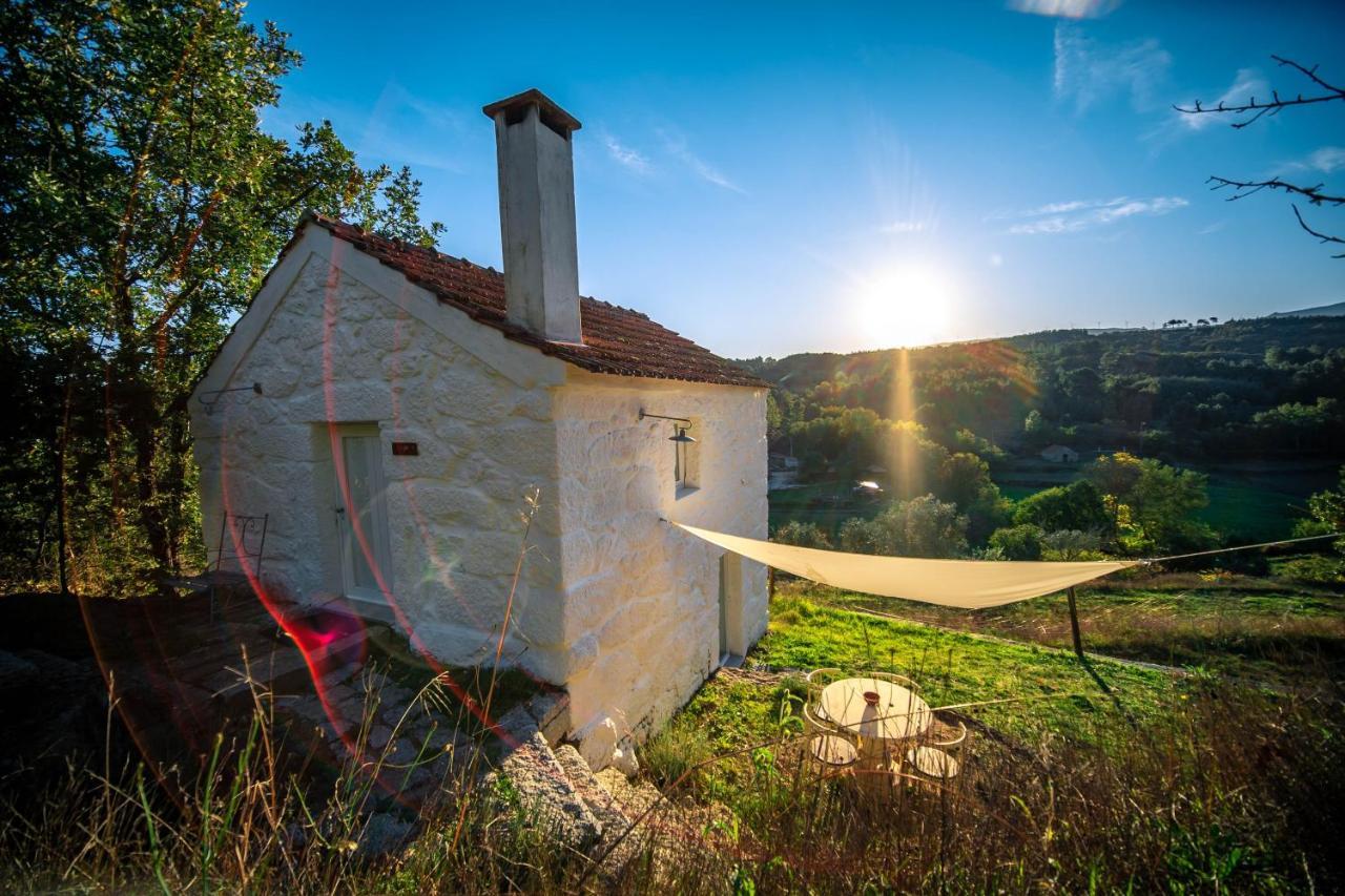 Casa Da Varzea - Serra Da Estrela Fornos de Algodres Kültér fotó