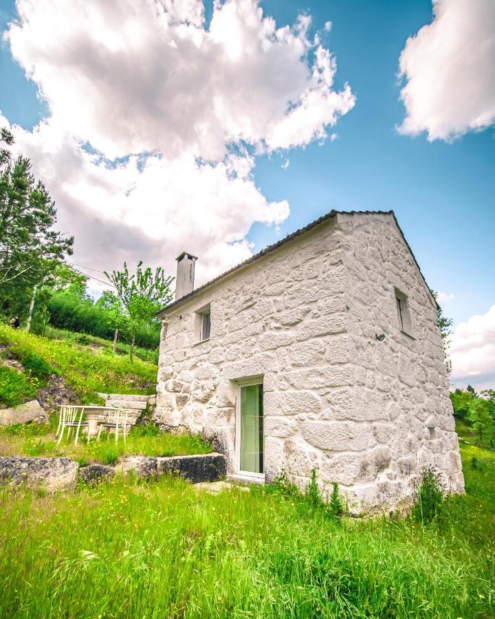 Casa Da Varzea - Serra Da Estrela Fornos de Algodres Kültér fotó