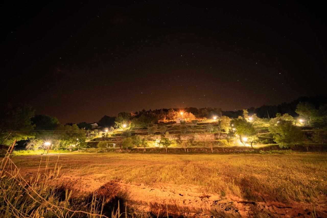 Casa Da Varzea - Serra Da Estrela Fornos de Algodres Kültér fotó